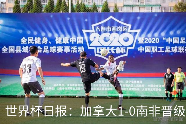 世界杯日报：加拿大1-0南非晋级创历史 韩国主帅洪明甫下课