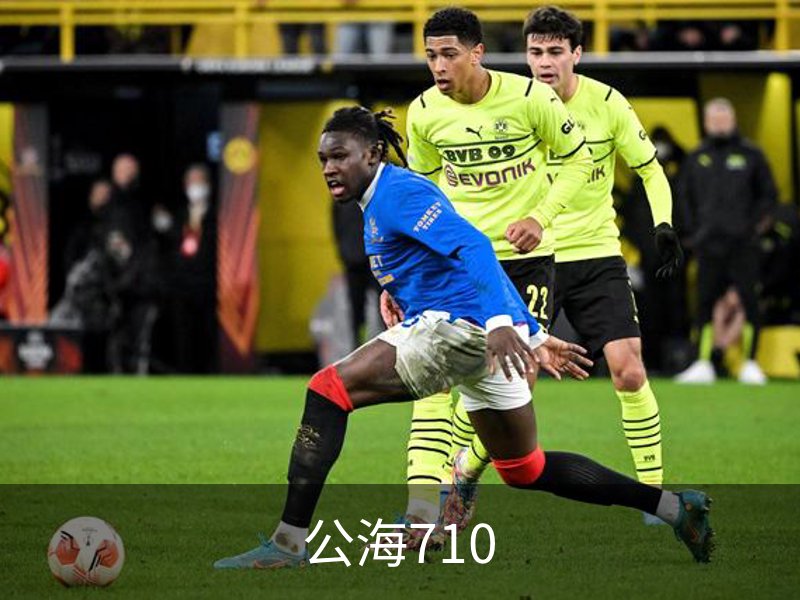 公海710介绍